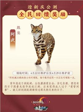 英雄天龙八部私服云天